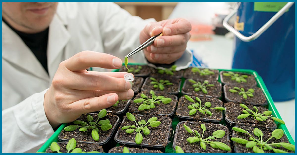 कृषि यानी असीमित संभावनाएं, नवीन तकनीक अपनाएं तो खुद नौकरी देने लगेंगे-डॉ. पाटिल